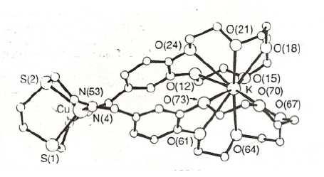 kompleksleri K + Şekil 4.