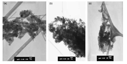 Topaklanma etkisi: Toz TiO2 SiO2 ve ZnO nanoparçacıklarının su içerisindeki dağılımları.