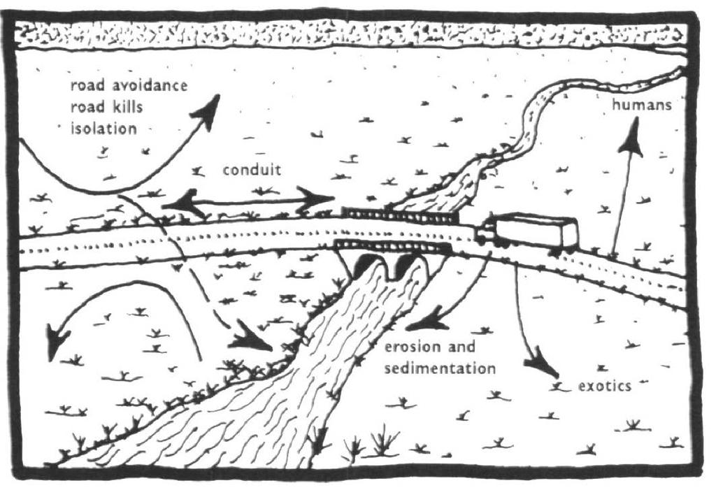 YOL VE DİĞER GEÇİŞ