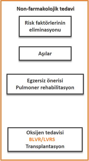 İnatçı semptomlar, tekrarlayan alevlenme(ler) LABA+İKS 0 ya da 1 (hastaneye yatış yok) Devam, durdur ya da başka sınıf bronkodilatör dene