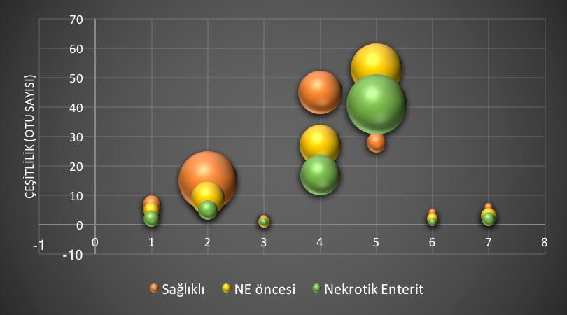 mikrobiyom farklılığı ve alandaki tavuk yoğunluğunun mikrobiyom üzerindeki etkisi ile ilgili çalışmalar yapılmaktadır.