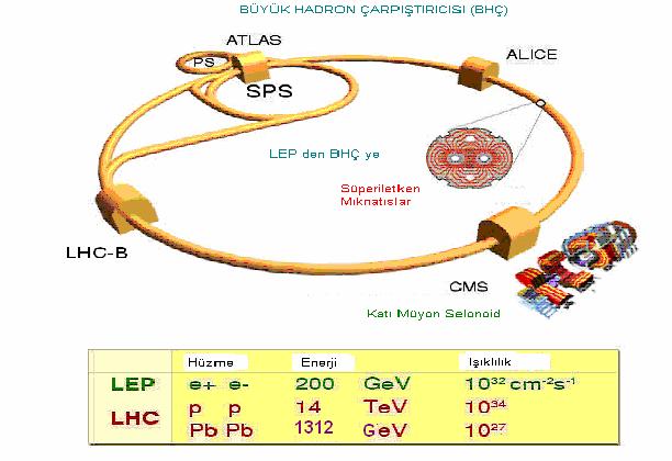 LHC de yapılacak olan deneylerde araştırılacak konulardan en önemlileri, parçacıklara kütle kazandırdığı düşünülen Higgs bozonunun ve süpersimetrik parçacıkların varlığıdır.