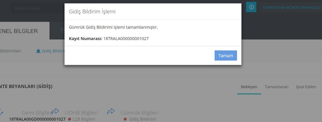 Bu aşamada gidiş bildirimi kayıt numarası verilir. Bu kayıt numarası ile acente beyan durumunu takip eder.