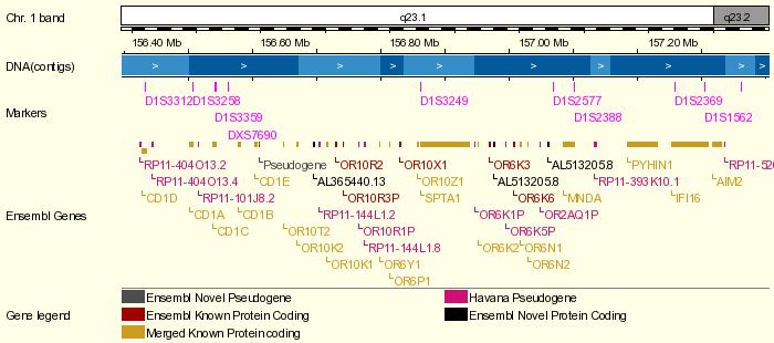 Chromosome 1 Overview Şekil 2.