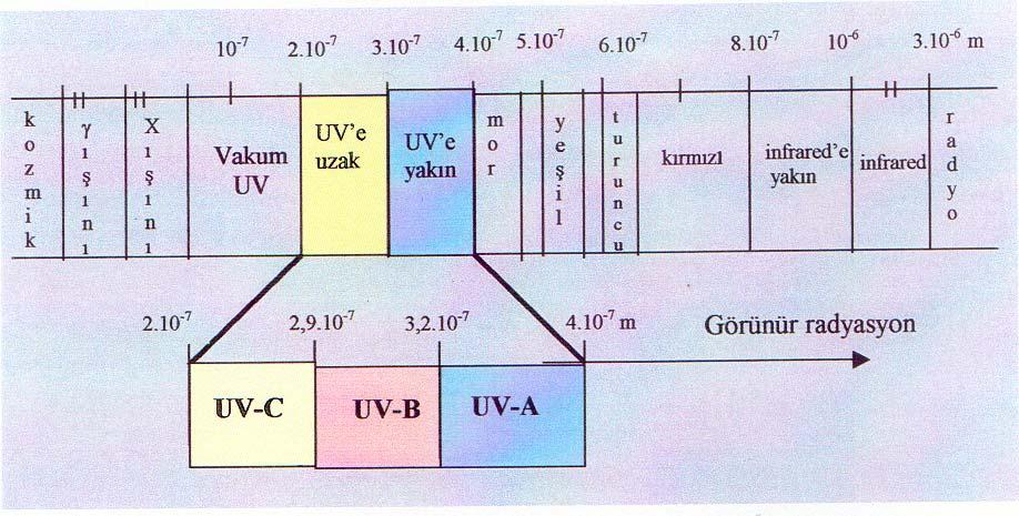 2.3.1. Ultraviyole (UV) ışınlar Ultraviyole (UV) ışınlar; elektromanyetik spektrumun 2.10-7 - 4.10-7 m dalga boyu aralığındaki ışınlardan oluşmaktadır. UV ışınları dalga boyu uzunluğuna göre Şekil 2.