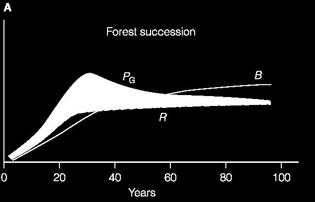 Orman ekosistemi mikrokozm ekosistemi yıllar Günler PG: brüt üretim, PN: net üretim, R: solunum, B: biyokütle Mikrokozm: