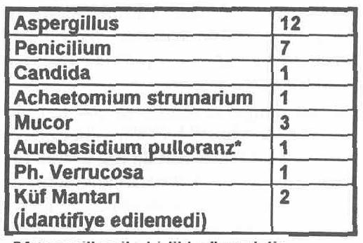 sonra exitus olmuştur.