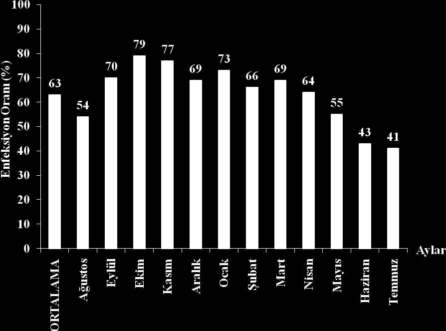 ġekil 4.3 Tinca tinca'da görülen Ligula intestinalis in aylara göre enfeksiyon oranları Kadife balıklarında en çok rastlanan 3. tür ise Caryophyllaeus laticeps olmuģtur.