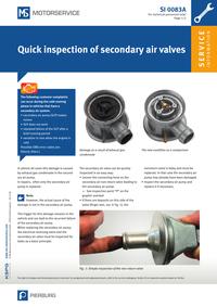 FR SI 0083 Quick Inspection of Secondary Air Valves