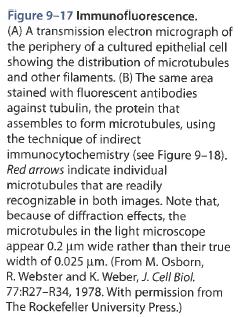 Biology of the