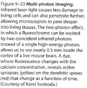 Biology of the