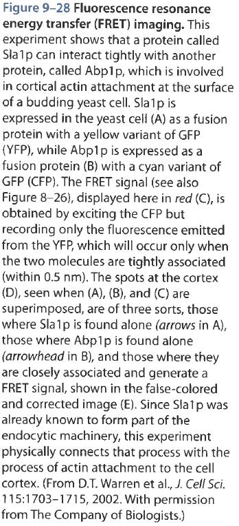 Biology of the