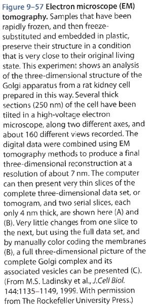 Biology of the