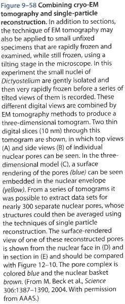 Biology of the