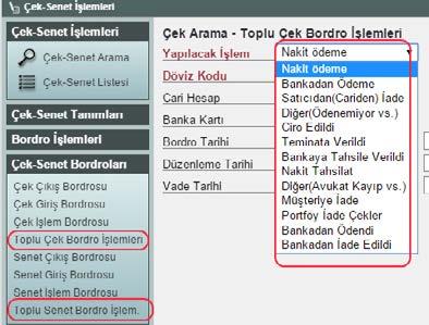 Çek ve Senetlere ait vade tarihi, tutar, çekin ait olduğu banka ya da senedin alındığı veya verildiği firma vb.