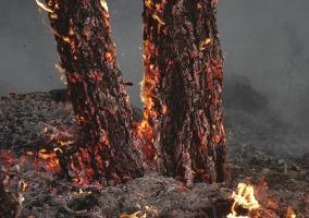 Söndürme Maddeleri Kullanım Teknikleri KURU KİMYEVİ TOZLAR ABC Tozu ( Çok Maksatlı Kuru Toz ) : ABC Tozları ile alevli yangınlar ve yüzeysel kor yangınları