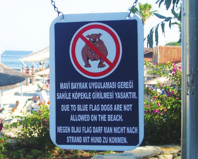 Kriter 23: Köpekler ve diğer evcil hayvanların plaja girişleri kesin bir şekilde kontrol edilmelidir.