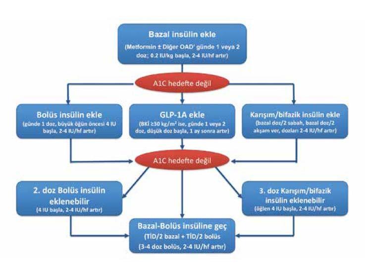 Bazal insülin dozu>0.