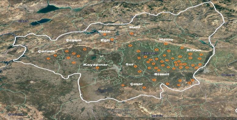 Pala et al., Turk J Weed Sci. 2018:21(1):33-42 yapılmıştır. Yabancı otların türleri ve sayıları kaydedilmiş ve elde edilen verilerden yüzde rastlama sıklığı ve m 2 deki sayıları hesaplanmıştır.