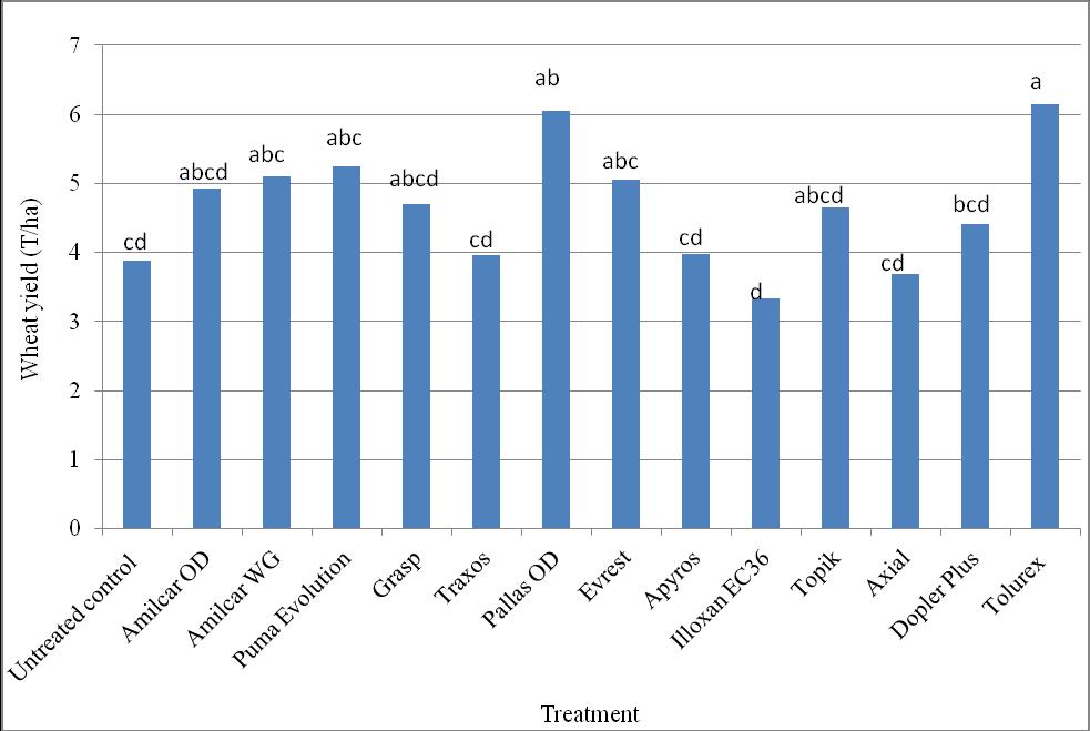 Khammassi et al. Turk J Weed Sci., 2018:21(1):43-52 Figure 3. Effect of herbicide treatments on wheat yield (Treatments with the same letter are not significantly different, LSD 0.05 = 1.65).