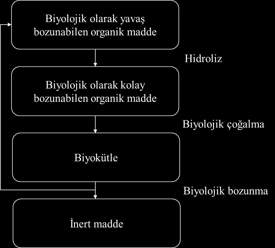 substrat miktarı, sıcaklık ve ph gibi birçok değişkene bağlıdır (Mulas, 2006).