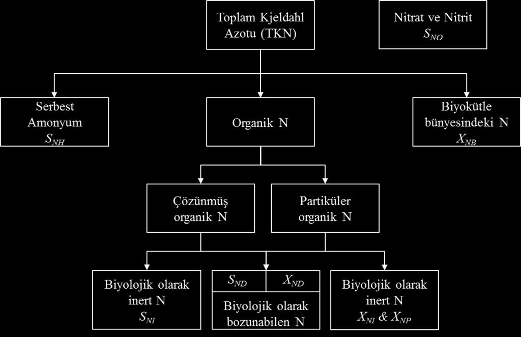 Modelde biyolojik karbon, azot ve fosfor giderim mekanizmaları kombine edilmiştir.