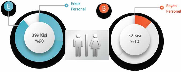 Çalışan Kadrolu İşçilerin Müdürlüklere Göre Dağılımı Müdürlük Fen İşleri Müdürlüğü Ulaşım Hizmetleri Müdürlüğü Temizlik