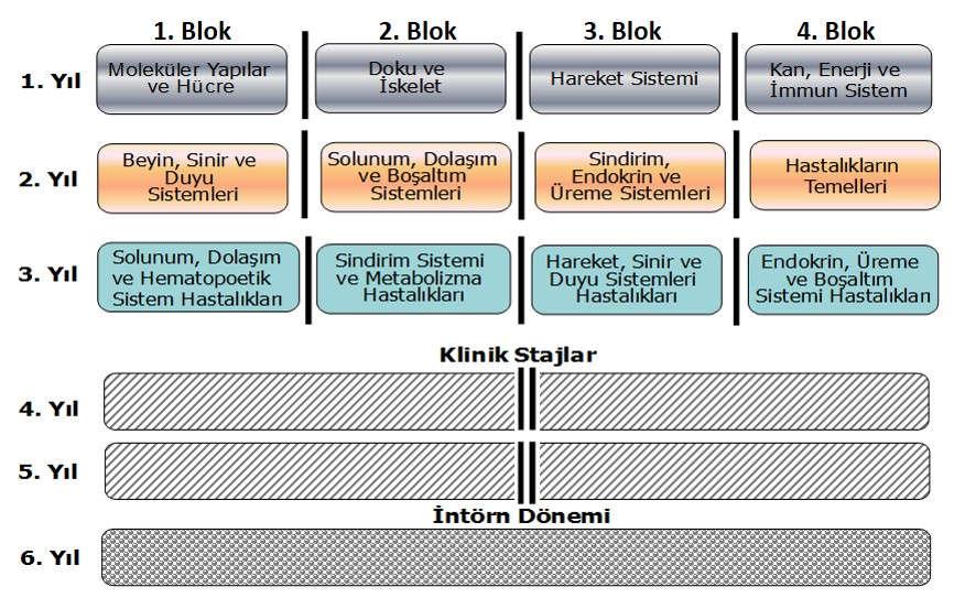 GÜLHANE TIP FAKÜLTESİ EĞİTİM