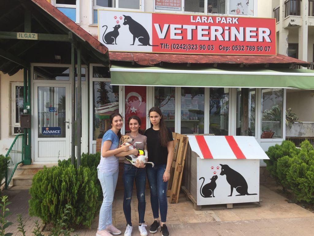 VETERİNERLİK Lara Park Veteriner Kliniği ndeki çalışma en keyifli çalışma yapan öğrenci grubu idi.