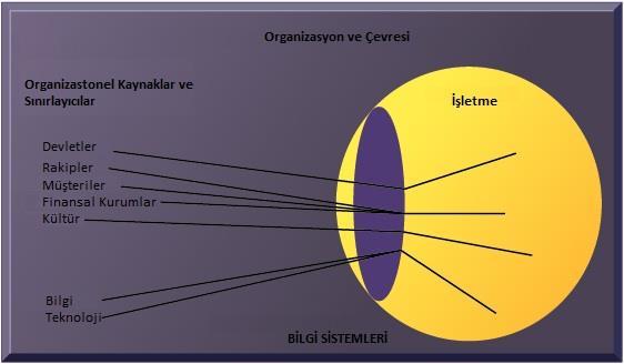 Çevre ve Organizasyonlar