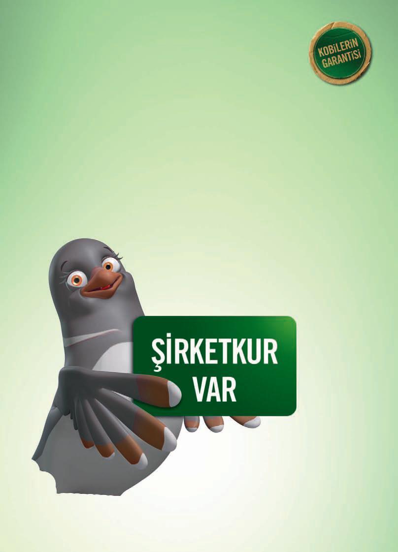 kobi_sirketkur e-02.