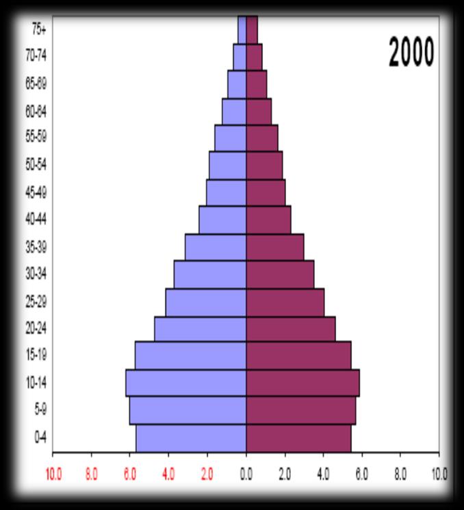 SAĞLIK SEKTÖRÜNDE MEVCUT DURUM Demografik Değişim!