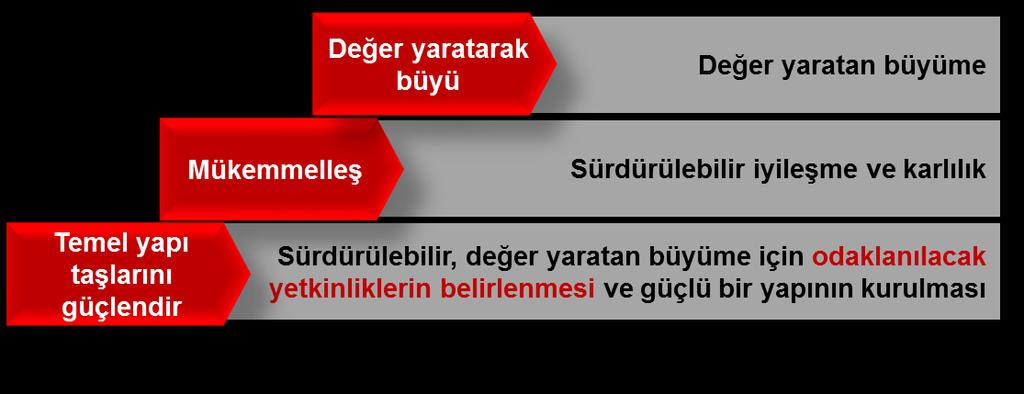 Seçici M&A hareketleri Yeni iş alanlarına yönelik potansiyellerin