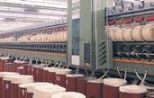 > Tekstil 31 SERDAR ALTIN ASIR TEKST L KOMPLEKS Faaliyet Alan : plik üretimi Ortakl k Yap s Çal k Holding %31
