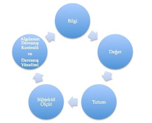 Güney Hacıömeroğlu çalışmasından elde edilen bulgular, ilkokul 4. sınıf öğrencilerin matematik ve fen yeterlik başarı düzeylerinin ortalamanın altında ve alt düzeye karşılık geldiğini göstermiştir.