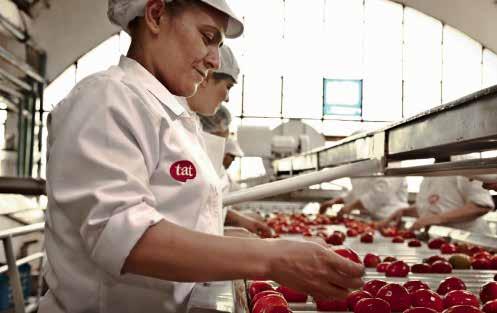 Tat Gıda nın temelleri, merhum Vehbi Koç tarafından, 1967 yılında domates ürünleri işlemek üzere Tat konserve fabrikasının kurulmasıyla atılmıştır.