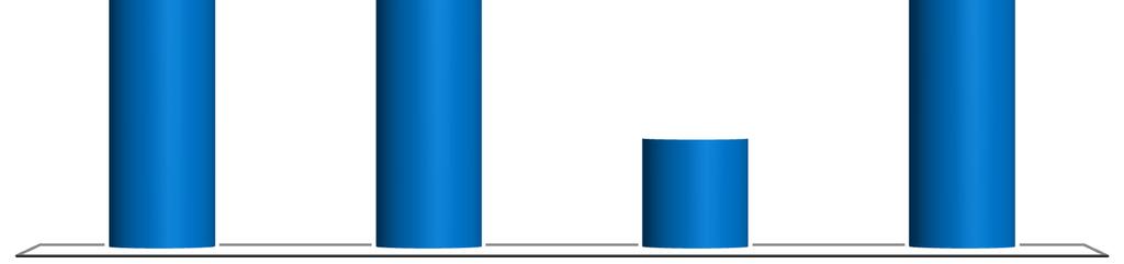 yatırımın % 19 unu enjeksiyon, % 16 sını ekstrüzyon, % 39 unu presler ve diğer makinalar, % 17