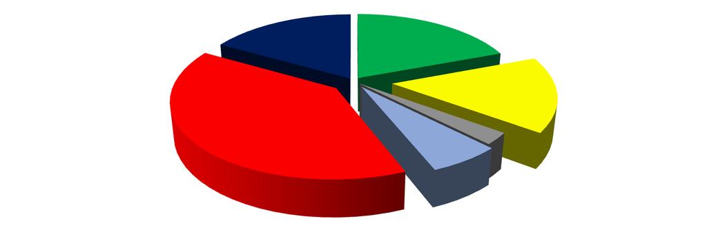 Şişirme makinaları ve termoform toplam yatırımdan sırası ile % 3 ve % 6 pay almıştır.