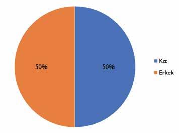 ULUSLARARASI ÖĞRENCİ DEĞERLENDİRME PROGRAMI Okul Türlerine Göre Dağılım PISA 2015 Türkiye örnekleminde öğrenci oranının en yüksek olduğu okul türleri, Anadolu Lisesi ile Mesleki ve Teknik Anadolu