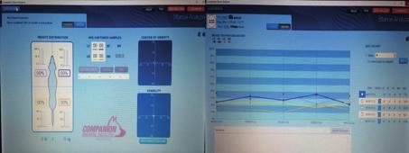 Şekil. Basış analizatöründe ekran görüntüleri. Ağırlık kayıtlarının yapıldığı bölüm sol tarafta, alınan ağırlık kayıtlarının kaydedildiği bölüm sağ tarafta gösterilmektedir.