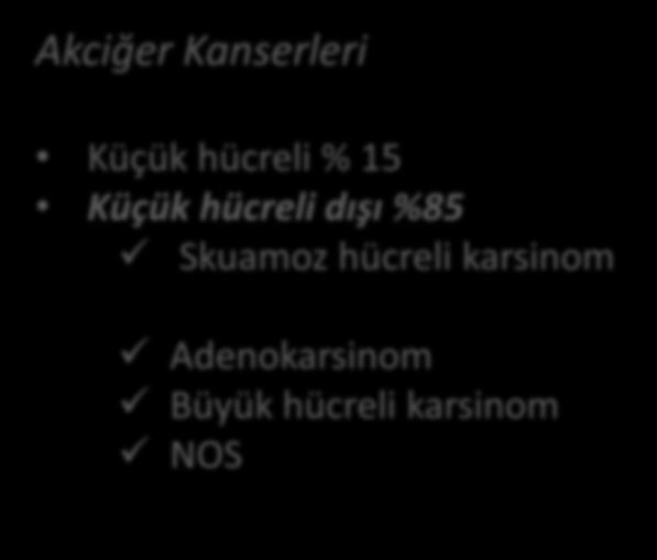 Küçük hücreli dışı %85 Skuamoz hücreli