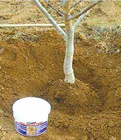 Toprak Su Tutucu ENDÜSTRİYEL KİMYASALLAR SOIL WATER TRAP Kullanımı kolay, süper su emici (hacminin 600 katı kadar su emebilen ) bir toprak katkı maddesidir.