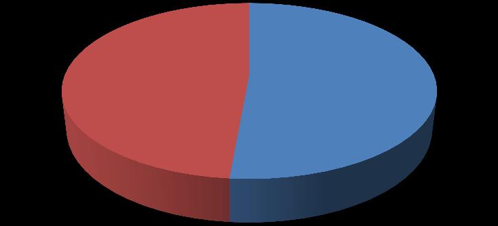 REFERANSLAR 16 Nisan 2017 referandumu oy tahmini