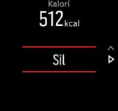 Bir çoklu spor modu kullanıyorsanız, üstteki düğmeyi basılı tutarak spor dalları arasında geçiş yapabilirsiniz. Kaydı durdurduktan sonra kendinizi nasıl hissettiğiniz sorulur.