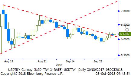 Usd/TL - Eur/TL TL varlıklar ve özellikle TL açısından değerlenme süreci devam ediyor.