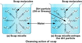 Sabun ilk olarak suyun yüzey gerilimini azaltır ve böylece sabun