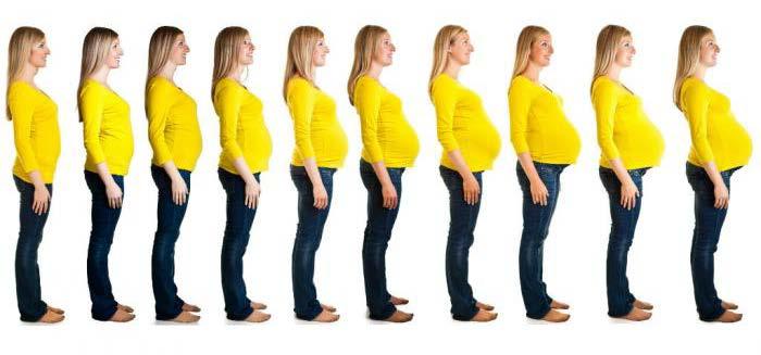 Gebelik, döllenmeyi takiben, doğuma kadar olan süreçte annedeki metabolik düzene, bebeğin büyüme/gelişiminin eklendiği