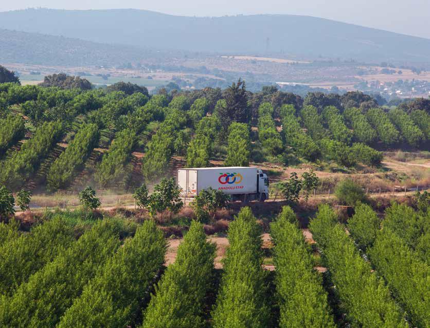 Anadolu Etap, Avrupa nın önde gelen meyve suyu ve taze meyve firmalarından biri olmayı ve sağlıklı nesiller için