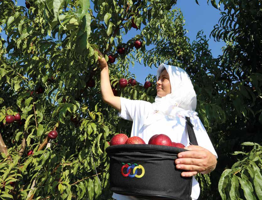 Anadolu Etap ekosistemindeki sürdürülebilirliği sağlamak ve meyve yetiştiriciliğine yeni ve çok daha gelişmiş standartlar sunmak amacıyla 2012 yılında Anadolu Etap AgroAkademi adı altında bir eğitim