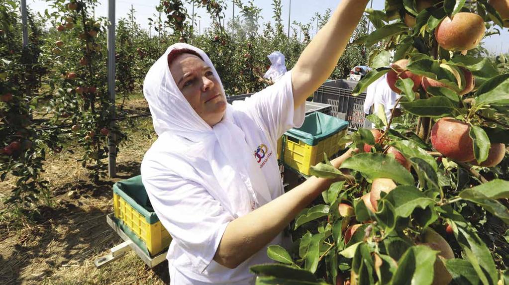 KURUMSAL PAYDAŞLARLA ilişkiler 102-42 102-43 102-40 Tarımın ve tarıma dayalı endüstrilerin gelişimine öncülük eden vizyonuyla Türkiye nin en büyük meyve yetiştiricisi ve meyve suyu üreticisi